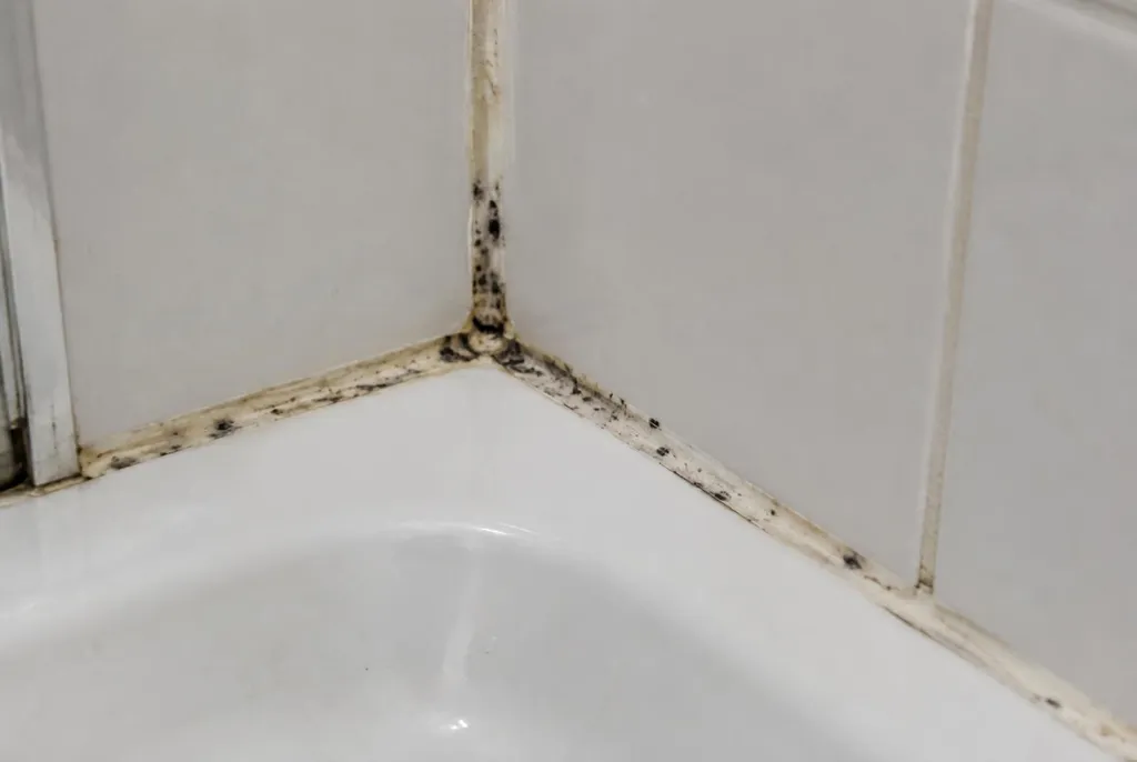 Kitbedrijf Zwolle – beschimmelde kitranden